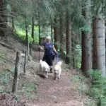 Wir wandern gern!