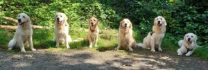 IMG-20230827-WA00230001