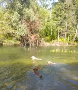 IMG-20240810-WA0019