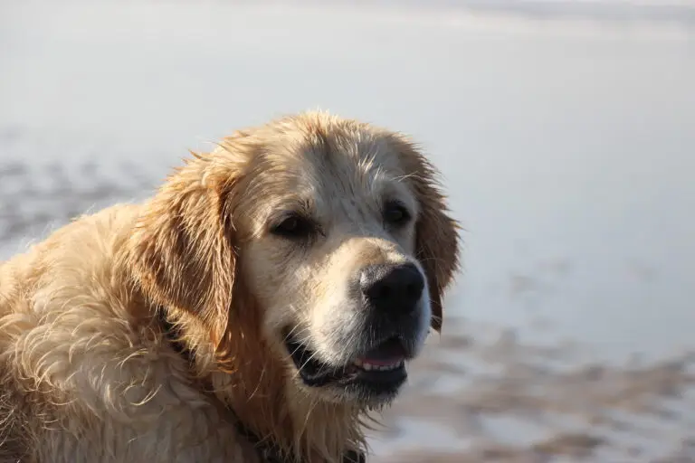 Cooper_02