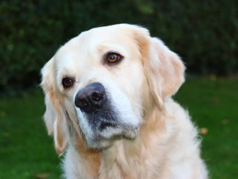 Cooper_01
