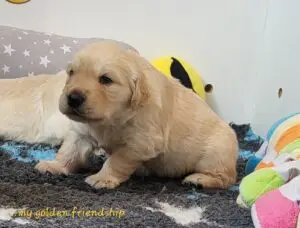 20250524_133705