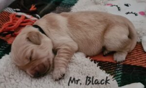 20230513_172101-scaled