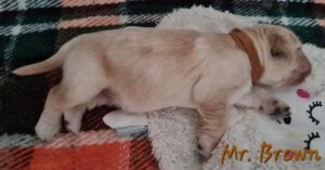 20230513_180723-scaled