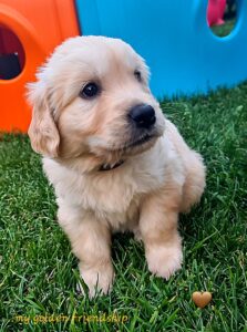 20230613_212504-scaled