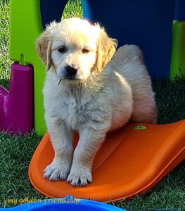 20230625_175530-scaled