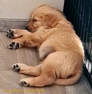 20230627_135730-scaled