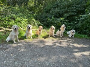 IMG-20230827-WA0089 - Kopie