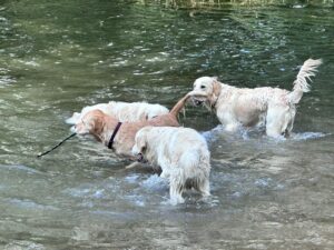 IMG-20230827-WA0094 - Kopie