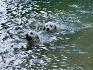 IMG-20230827-WA0095 - Kopie