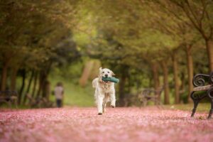 IMG-20240419-WA0016