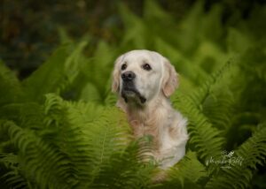 IMG-20240419-WA0019