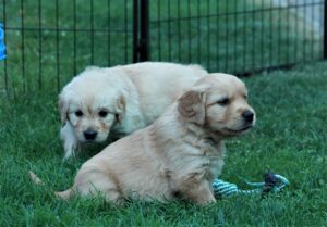 IMG_5116-scaled