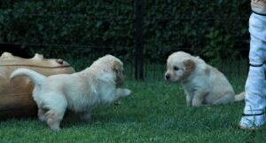 IMG_5124-scaled