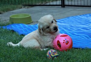 IMG_5127-scaled